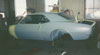 1967 firebird body