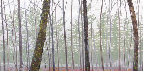Morning Fog