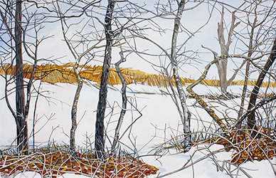 Snowy Field