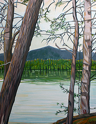 Togue Pond